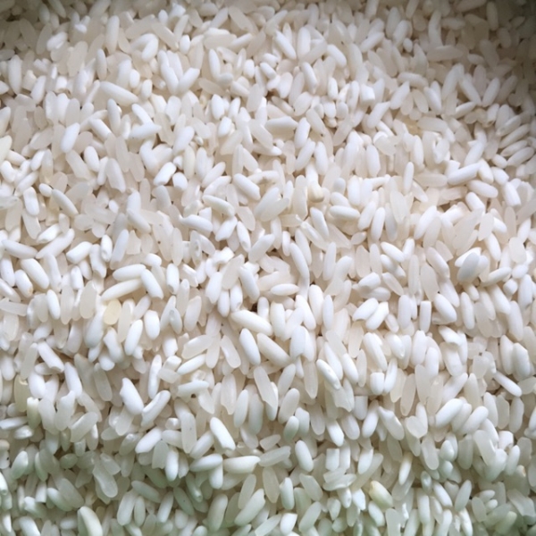 Gạo nếp - Gạo Thành Nam - Công Ty Cổ Phần Nông Sản Thực Phẩm Thành Nam